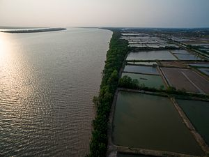Mekong Basin Water Management Workshop