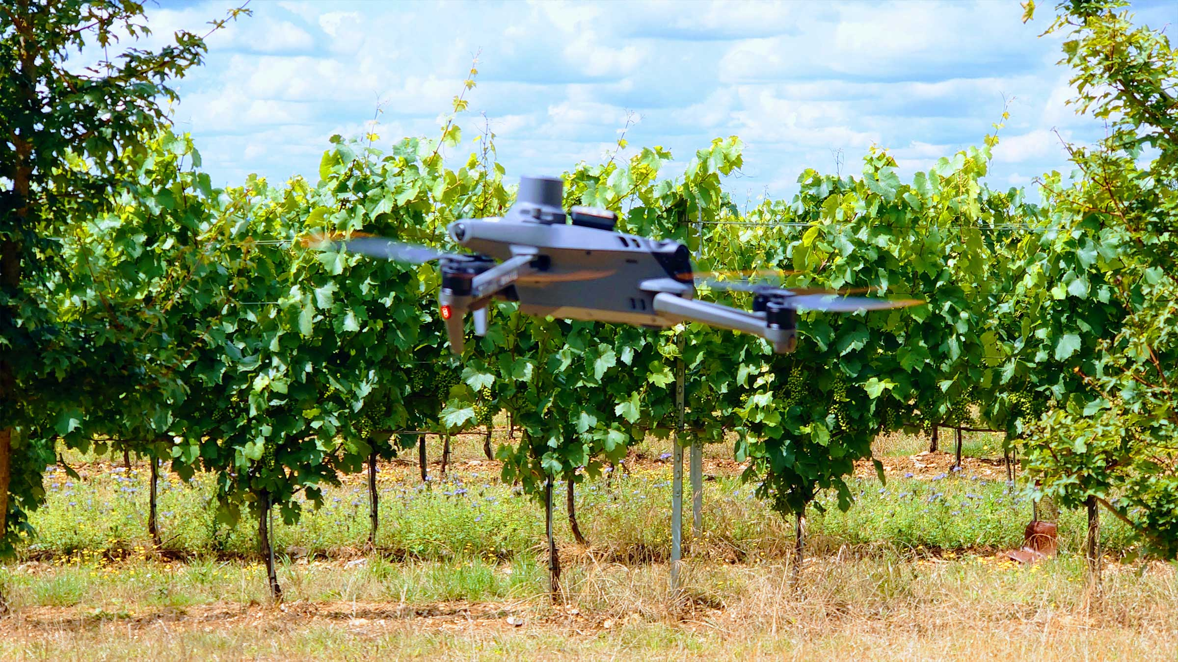 CITA Deploys Multispectral Drones for Early Crop Stress Detection
