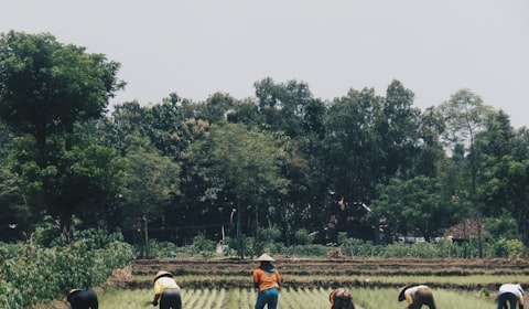 Agriculture Industry Partners
